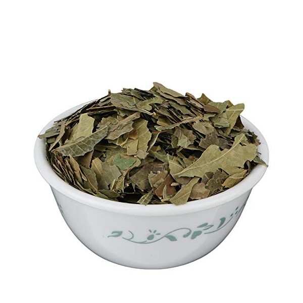 YUVIKA Neem Patta - Azadirachta Indica - Neem Leaves 400 Grams 