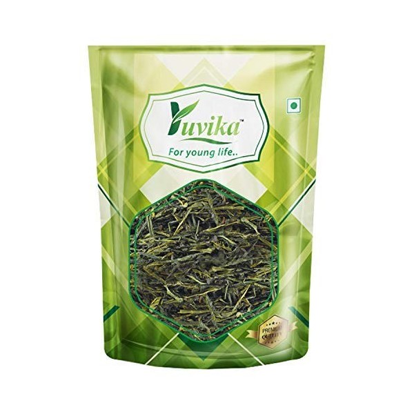 YUVIKA Green Tea Leaves Original & Natural 200 Grams 