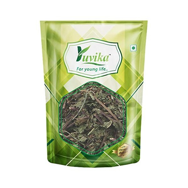 YUVIKA Podina Patta - Pudina - Mentha Arvensis Linn - Mint Leaves 100 Grams 