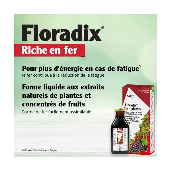 Salus Floradix Fer + Plantes - Formule Liquide Riche en Fer - Enrichi en Vitamine C pour une Meilleure Absorption - 500 ml