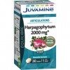 JUVAMINE - Articulations - Harpagophytum 2000 mg - 30 Comprimés