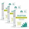 SILETTUM GÉLULES Lot 2+1 Offert Fourreau 180 Gélules | Redonne beauté, vitalité et volume aux cheveux | Pour les cheveux te