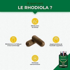 Rhodiola Rosea - 400 mg - Formule 100% Pure - Extrait de Racine Titré à 3% en Salidroside - Stress & Fatigue - Concentration 