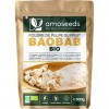 Poudre de Baobab Bio 500G | Énergie, Articulations, Belle Peau, Immunité | Qualité