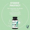 Vitavea Bien-être - Gummies Stress Protect - Détente, Relaxation, Sérénité, Tonus Intellectuel - Sans Sucre - Rhodiola Rosea,