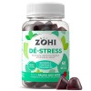 Complément Alimentaire Dé-Stress-Gummies Dé-Stress favorisant la résistance physique et mentale au stress -60 gommes de fruit