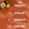 FORMULE MULTIVITAMINES et Minéraux 30 Nutriments | Vitamine A B C D E K, Quercetine, Magnesium, Zinc, Coenzyme Q10, Selenium 