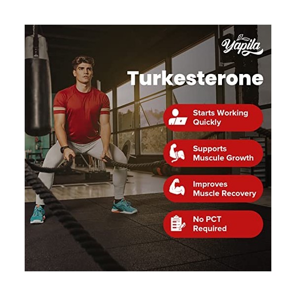 Turkesterone Complément Alimentaire- 1200 mg dextrait de Ajuga Turkestanica Standardisé à 20% de Turkesterone, Dosage élevé,