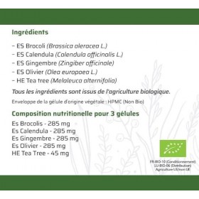 Biophénix CandiActiv 3 biologique 60 gélules - Complément alimentaire BIO 100% naturel à base de végétaux - Module la prolif