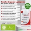 Organic Lycopene - Complément antioxydant au lycopène biologique certifié - Pack de 30 gélules