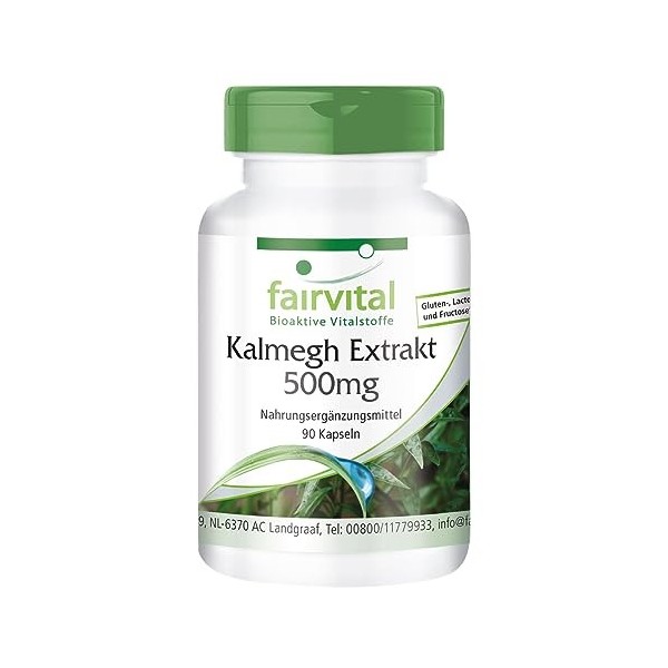 Fairvital | Extrait de Kalmegh 500 mg - 90 gélules Extrait 5 fois concentré de la feuille de Kalmegh - pour 3 mois - qualité 