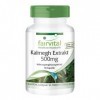 Fairvital | Extrait de Kalmegh 500 mg - 90 gélules Extrait 5 fois concentré de la feuille de Kalmegh - pour 3 mois - qualité 