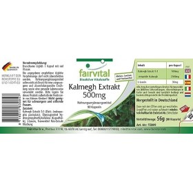 Fairvital | Extrait de Kalmegh 500 mg - 90 gélules Extrait 5 fois concentré de la feuille de Kalmegh - pour 3 mois - qualité 