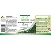 Fairvital | Extrait de Kalmegh 500 mg - 90 gélules Extrait 5 fois concentré de la feuille de Kalmegh - pour 3 mois - qualité 