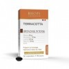 BIOCYTE Terracotta Bronzage Intense - Complément Alimentaire Solaire - Mélanine, Céramosides, L-tyrosine, Vitamine C, Cuivre 