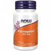 Now Foods, Pycnogenol, 100mg, avec Fruit dAmla, 60 Capsules végétaliennes, Testé en Laboratoire, Sans Soja, Sans Gluten, Vég