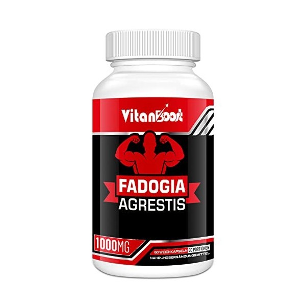 Vitanboost Fadogia Agrestis 1000 mg avec Ashwagandha et ZINC - Suppléments dextraits de Fadogia Agrestis à force maximale - 