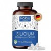 Raibu Capsules de Silice à haute concentration - 90 capsules pour 3 mois - 667 mg - Silice organique à haute concentration ex