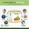 Fenugrec Bio - Appétit et Prise de Poids - Régule le Taux de Glucose - Favorise la Lactation - Sans Additifs - 310mg de Poudr