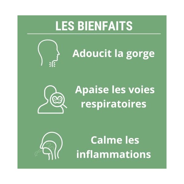 FORMULE RESPIRATION | Complement alimentaire | Thym, basilic sacré, plantain feuille, eucalyptus, millepertuis | Respiration 