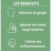 FORMULE RESPIRATION | Complement alimentaire | Thym, basilic sacré, plantain feuille, eucalyptus, millepertuis | Respiration 