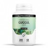 Guggul 330mg - 200 gélules