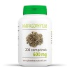 Harpagophytum 600 mg - 200 comprimés - Planète au Naturel