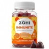 ZOHI- Complément Alimentaire Immunite-Gummies Immunite-60 gommes de fruits goût Framboise Sureau Sans Sucres - Vitamines B6, 