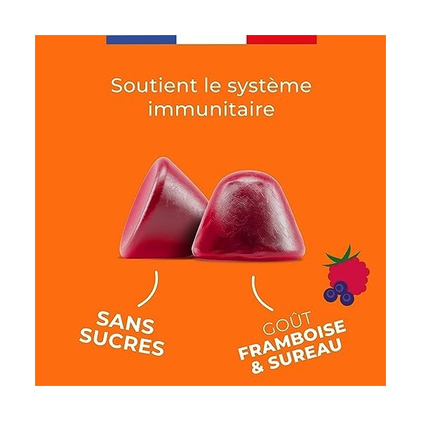 ZOHI- Complément Alimentaire Immunite-Gummies Immunite-60 gommes de fruits goût Framboise Sureau Sans Sucres - Vitamines B6, 