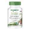 Fairvital | griffe du diable et lécorce de saule VEGAN - 90 capsules - 1,2% et 15% de salicine harpagosides