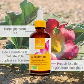 WELEDA - EPB® Harpagophyton Bio - Articulation - Complément Alimentaire Naturel - Flacon-Pipette 60&nbsp;ml
