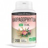 Harpagophytum Bio 200 Gélules Végétales 330 mg - Herbes et Plantes