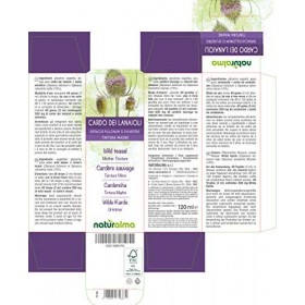 Cardère sauvage ou Cabaret des oiseaux Dipsacus fullonum ou D. sylvestris racines Teinture Mère sans alcool Naturalma | Ext