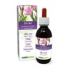 Épilobe Epilobium parviflorum herbe Teinture Mère sans alcool Naturalma | Extrait liquide gouttes 120 ml | Complément alime