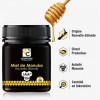 COMPTOIRS ET COMPAGNIES - Miel de Manuka Actif - IAA15+ MGO514+ - Origine Nouvelle Zélande - 250g