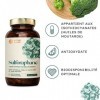 Nature Basics® sulforaphane naturel extrait de brocoli certifié & durable en pot | 180 gélules hautement dosées & pures | 5