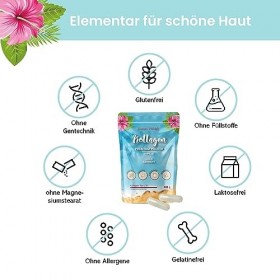 Premium Summer Naturals Collagène en poudre - Type I, II, III - goût neutre 500 g 