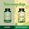 Armoise Vegavero® | Dosage Élevé : 600 mg d’Extrait d’Artemisia Vulgaris par Gélule | Sans Additifs | 180 Gélules 6 Mois | 