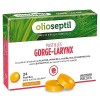 OLIOSEPTIL® - Pastilles à Sucer Gorge-Larynx - Sans Sucres Ajoutés - Extraits de Plantes, Vitamine C, Cuivre et Huiles Essent