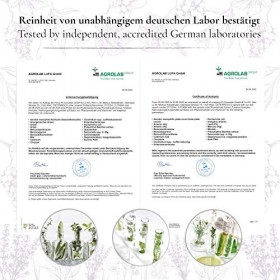 Fertilité Femme Complément Alimentaire, Souhait Bébé | Multivitamines Minéraux: Acide Folique Forte Dose + Zinc Fer Multi Vit