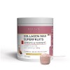 Collagen Max Superfruits - Complément Alimentaire Anti-Âge Jeunesse de la Peau - Collagène, Acide Hyaluronique, Açai, Acérola