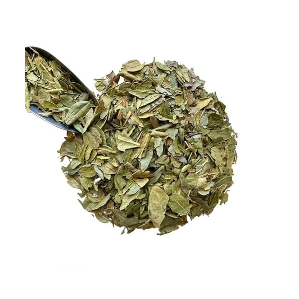 Tisane Boldo feuille 250 GRS Peumus boldus.