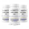 Lot de 3 - Lions Mane Héricium 30% Polysaccharides Complexe avec HydroPerine™ - 120 Gélules 600mg - Turkesterone Europe®