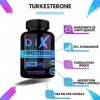 TURKESTERONE 700MG 90 Capsule | 25% Standardisé | Forme Avancée | Absorption Optimale | Vegan & Sans gluten |Testé & controlé