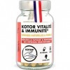 KOTOR VITALITÉ IMMUNITÉ | Booster de Défenses Immunitaires | Complément 100% Naturel | Ginseng Rouge + Magnésium + Zinc + Vit