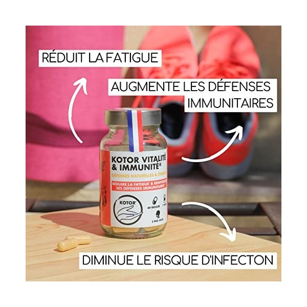 KOTOR VITALITÉ IMMUNITÉ | Booster de Défenses Immunitaires | Complément 100% Naturel | Ginseng Rouge + Magnésium + Zinc + Vit