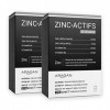 ARAGAN - Synactifs - Zincactifs - Complément Alimentaire Immunité et Peau - Zinc, Vitamines B5 et B6-120 gélules - 2 mois de 
