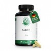 NADH 50 mg - 150 gélules de fabrication allemande - 100% Végétalien - Green Naturals