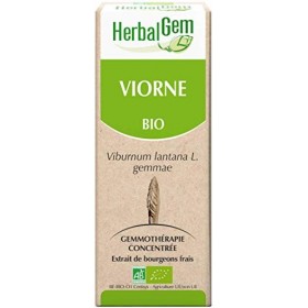 HERBALGEM - Macérât-Mère - Viorne Bio - Complément Alimentaire Gemmothérapie Concentrée - Extrait De Bourgeon Frais - Pour Vo