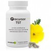 PRECURSOR TST * 120 gélules * Energie, Équilibre émotionnel, Immunitaire, Performances sportives, Poids, Vitalité